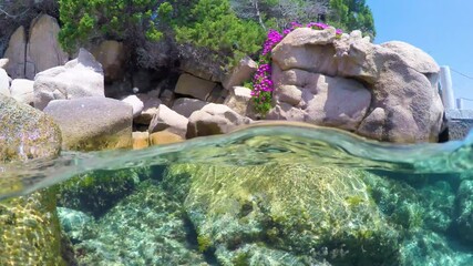 Wall Mural - Split underwater view in Sardinia, Italy