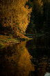 © Анна Павлова - 'Golden Autumn Landscape with a Serene River and Birch Trees – Peaceful Nature Scene with Vibrant Fall Foliage, Calm Water Reflections, and Warm Golden Hour Light, Perfect for Seasonal and Travel Phot