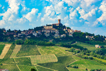 Wall Mural - Vineyards of Oltrepo Pavese at summer