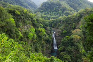 Wall Mural - Stunning waterfall cascading down in forest valley