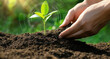 © Alena Bekas - Hand nurturing young plants in rich soil while visual elements illustrate eco-friendly practices and sustainability innovations in gardening.