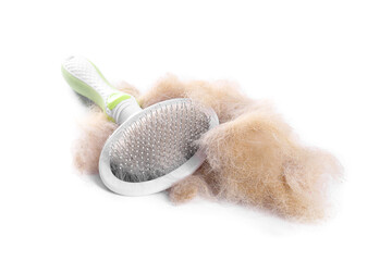 Wall Mural - Grooming brush and pile of pet's hair isolated on white