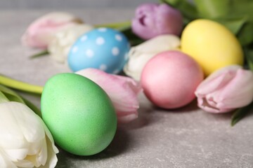 Wall Mural - Easter eggs and beautiful tulips on grey table, closeup