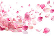 © real graphics - rose petals background