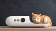 © Ratchadaporn - Futuristic automatic pet feeder dispensing dry food into a sleek minimalist modern bowl  Smart home appliance designed for convenient and efficient pet care with a high tech contemporary look
