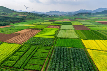 Aerial view of diverse crop fields with wind turbines in background