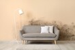 © Pixel-Shot - Sofa and floor lamp near beige wall with mold