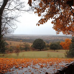 Canvas Print - Breathtaking Autumn Landscape of Countryside Meadow with Vibrant Foliage, Orange Leaves, Overcast Sky, and Scenic View in Rural Tranquil Park Setting