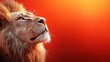 © milenialdesastudio - Majestic lion looking up at sunset, orange background.