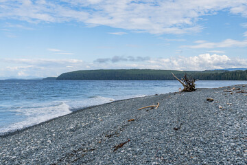 Wall Mural - shore of Malcolm Island with big old tree logs beautiful water of the ocean with clouds on blue sky