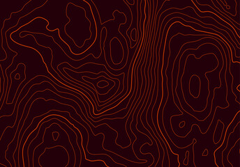 Leinwandbilder - Topographic map background with altitude lines. Abstract terrain topography with elevation levels of the relief