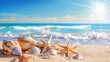 © John - Beach Holiday Bliss: Seashells Scattered on the Seashore