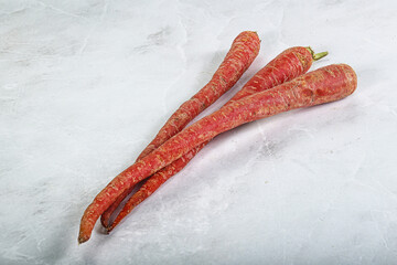 Wall Mural - Raw ripe Indian red carrot