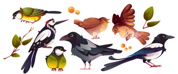 cartoon bird collection of colorful songbirds and magpies. forest creatures flying, standing and sit