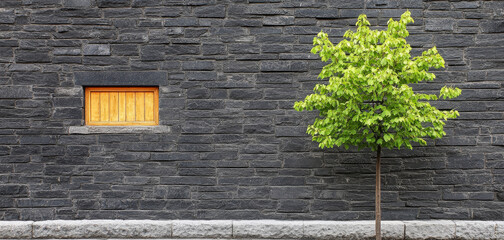 Green tree next to a textured stone wall with a bright wooden window
