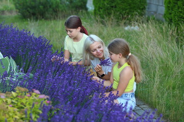 a mother and her two children are joyfully trimming lavender bushes in the garden of their home. the family engages in nurturing their plants together.