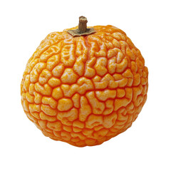 Sticker - Ripe orange fruit with textured surface on a Transparent Background