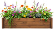 © PNG Creative - Vibrant Summer Flower Garden in Wooden Planter Box Blooming Blossoms Colorful Flowers