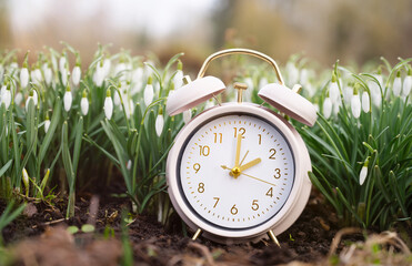 Alarm clock with snowdrop flowers, switch to daylight saving time in spring, summertime changeover