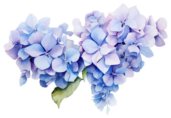 Poster - PNG Hydrangea pattern flower nature.