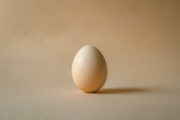 Poster - Single brown egg stands upright against a simple neutral backdrop