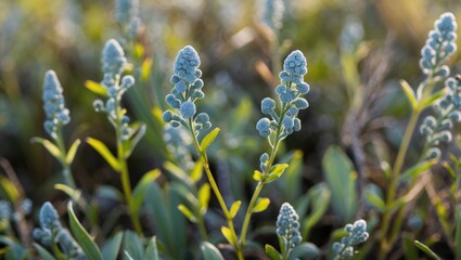 Wall Mural - Delicate Wild Plants in Macro Photography with Lush Greenery and Soft Focus for Creative Text Overlay or Background Design