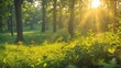 © The 2R Artificiality - Tranquil Morning Forest With Sunlight Shining Through Green Foliage Creating a Serene Nature Background for Your Text or Designs