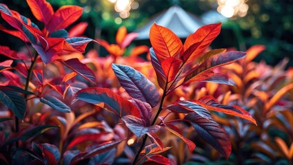 Poster - Vibrant Close-Up of Red and Green Leaves in a Garden Setting with Soft Background Bokeh Effect showcasing Nature's Beauty