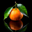 © Modest - high quality realistic tangerine orange isolated on black background