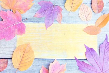 Fototapete - A seamless vector background featuring vibrant autumn leaves in warm hues of orange, red, and yellow, creating a cozy seasonal atmosphere.

