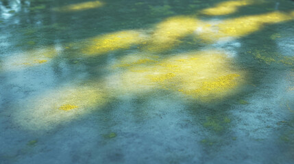 Fototapete - Natural texture of chartreuse moss on wet concrete surface in sunlight