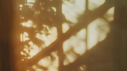 Fototapete - Warm abstract light patterns through foliage for artistic backgrounds