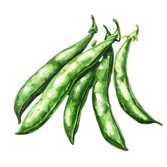 Fresh Green Beans Watercolor Illustration.