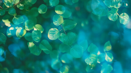 Fototapete - Lush spring green leaves with fresh light for nature background and design