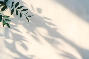 Wall Mural - minimalist leaf shadow on wall