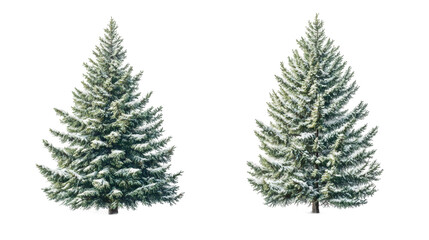 Aufkleber - Snow-covered fir tree cutouts isolated on transparent backdrop, ideal for seasonal winter design and holiday graphics