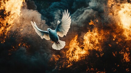 Sticker - White Bird Flying Near Fire