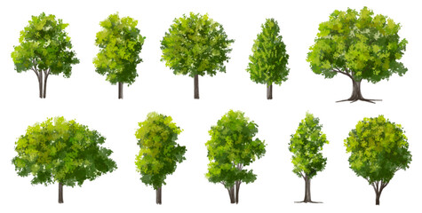 vector watercolor green tree or forest side view isolated on white background for landscape and arch