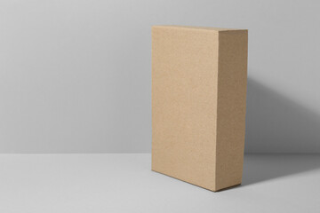 Wall Mural - One blank cardboard box on white background. Mockup for design