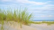 © Zhao Na - A digital oil painting of the dunes at Cannon Beach, Oregon, with tall grass and mountains in the background, a sunset, long exposure, watercolor-like effects, beautiful.