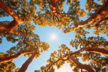Poster - Biophilic Design Inspiration Interwoven Forest Canopy with Natural Sky View for Sustainable Architecture and Wellness Spaces - Enhance Modern Eco-Friendly Projects