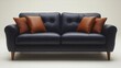 © InspireFrames - Elegant black leather sofa accented with two decorative pillows in a modern setting