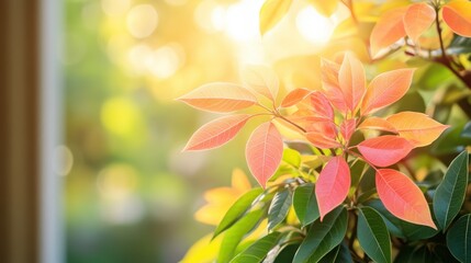 Wall Mural - A close-up view of a vibrant plant showcasing its bright, lush leaves, highlighting the intricate details and textures of nature's beauty.