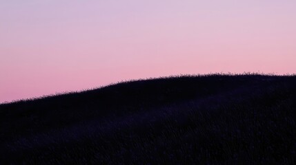 Wall Mural - Silhouetted Grassland Against a Pink Sunset Sky