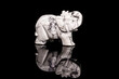 © Ben - Hand-Carved White Howlite Elephant Figurine – Spiritual Protection & Healing Crystal Statue