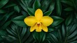 © Yuto - Vibrant Yellow Orchid Blossom Amidst Lush Tropical Foliage AI Generated
