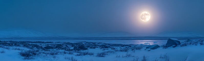 Poster - A vibrant Arctic night landscape featuring bright illumination, perfect for winter-themed projects.
