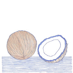 Canvas Print - PNG An isolated fresh peel coconut illustration watercolor vibrant