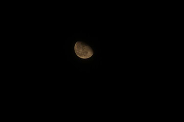 moons