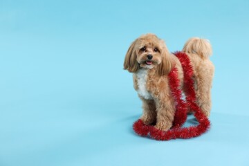 Wall Mural - Cute dog with shiny tinsel on light blue background. Space for text